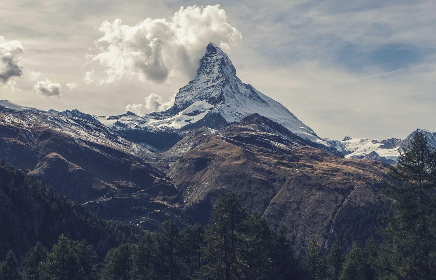 Portretul Ioanei Radu